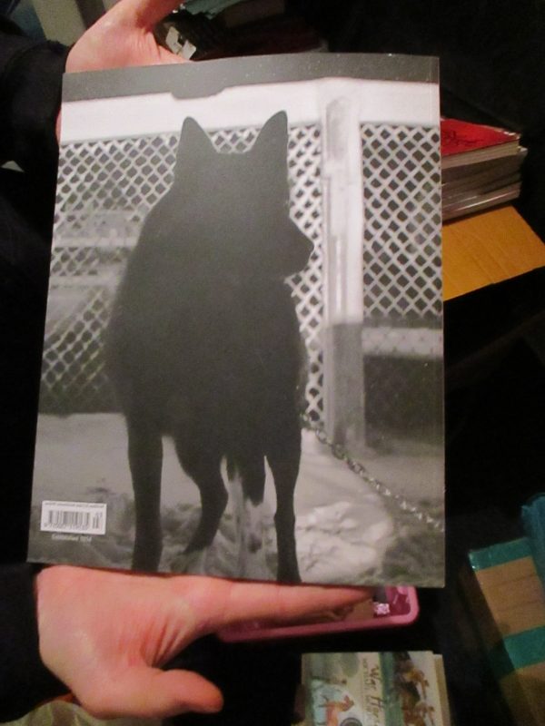 British Journal Of Photography - Issue 7893 - Out Of Sight March 2020 Magazine - Image 2