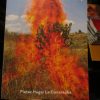 British Journal Of Photography - Issue 7894 - Pieter Hugo April 2020 Magazine