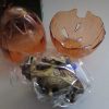 Carnotaurus Dinosaur Construction Toy in "Cracked Egg" Case - Image 10