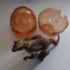 Carnotaurus Dinosaur Construction Toy in "Cracked Egg" Case - Image 7