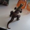 Carnotaurus Dinosaur Construction Toy in "Cracked Egg" Case - Image 4
