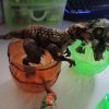 Carnotaurus Dinosaur Construction Toy in "Cracked Egg" Case - Image 3