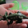 Triceratops Dinosaur Construction Toy in "Cracked Egg" Case - Image 5