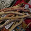 Light Brown Wooden Swaying Snake - Playwrite - Image 5