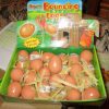 Bouncing Realistic Chicken Egg - Playwrite - Image 2