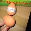 Bouncing Realistic Chicken Egg - Playwrite - Image 5