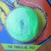Green Wriggley Magical Worm - Playwrite - Image 2