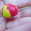 27mm Red and Yellow with small amount of White style Jet Ball Bouncy Toy - Sturdy Rubber - Image 2
