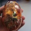 Allosaurus Dinosaur Construction Toy in "Cracked Egg" Case - Image 10