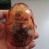 Carnotaurus Dinosaur Construction Toy in "Cracked Egg" Case - Image 11