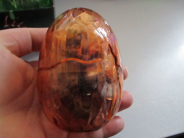 Carnotaurus Dinosaur Construction Toy in "Cracked Egg" Case - Image 11
