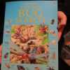 Usborne The Big Bug Search