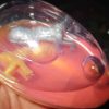 Pink Goo in Gold Shell - Twin Alien Egg Slime Toy - Hoot - Image 2
