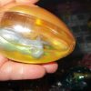Yellow Goo in Gold Shell - Twin Alien Egg Slime Toy - Hoot