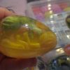Yellow Goo in Gold Shell - Twin Alien Egg Slime Toy - Hoot - Image 2
