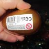 Orange Goo in Gold Shell - Twin Alien Egg Slime Toy - Hoot - Image 3