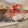 Ramparian Ultra- Bakugan Ultra with Transforming Baku Gear Action Figure - Image 3