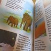 FunFax #59 - Our Strange Planet - Paperback - Image 6