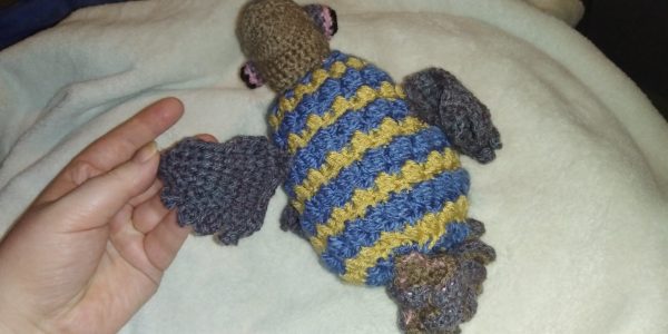 Crochet Pigeon Plushie - AlbyPigeon Fledgling (asrtd options) - Image 2