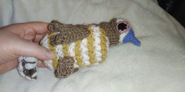 Crochet Pigeon Plushie - AlbyPigeon Fledgling (asrtd options) - Image 13