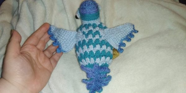 Crochet Pigeon Plushie - AlbyPigeon Fledgling (asrtd options) - Image 21