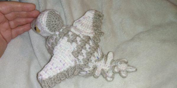 Crochet Pigeon Plushie - AlbyPigeon Fledgling (asrtd options) - Image 28