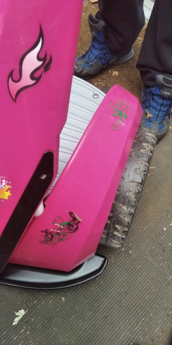 FEBER DAREWAY 12v Ride on Kids Pink Segway Used Working Complete With Charger - Image 9