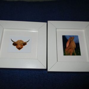 Pair of Miniature framed pictures - Coo & Moon Gazing Hair - Professional Print By Goblin Dreams