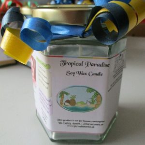 Tropical Paradise Scented Soy Wax Candle 300g