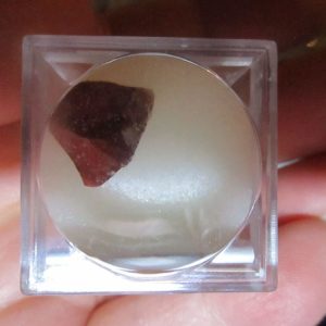 Red Jasper Mineral/Gem Stone Fragment in Display Magnification Box