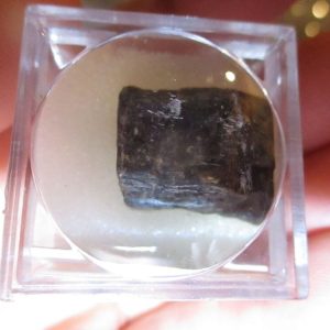Tiger's Eye, Blue Mineral/Gem Stone Fragment in Display Magnification Box