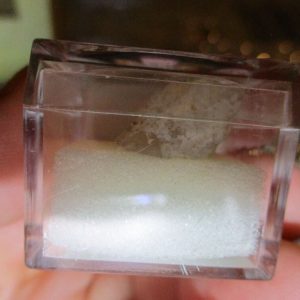 Chalcedony Mineral/Gem Stone Fragment in Display Magnification Box