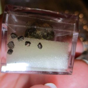 Pyrite Mineral/Gem Stone Fragment in Display Magnification Box