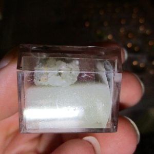 Prehnite Mineral/Gem Stone Fragment in Display Magnification Box
