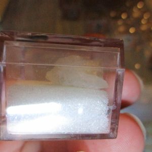 Quartz Mineral/Gem Stone Fragment in Display Magnification Box