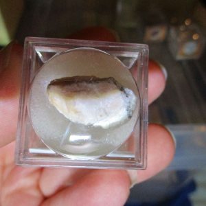 Potash Feldspar Mineral/Gem Stone Fragment in Display Magnification Box