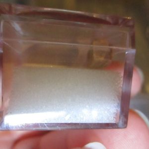 Ray Tooth Fossil Fragment in Display Magnification Box