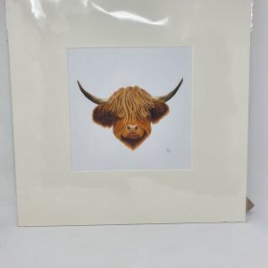 Large (40cm) Mounted Print -Highland Coo (Cow) - Professional Print - By Goblin Dreams