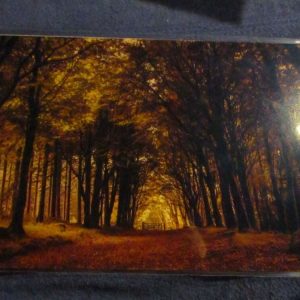 Autumn Colours (Bellever Forest) - Professional Print - A4 Size. By Goblin Dreams