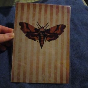 Death's Head Moth - Professional Print - A5 Size. By Goblin Dreams