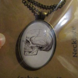 Brassy tone "Anatomical Skull" - Dome Pendant with chain - Goblin Dreams