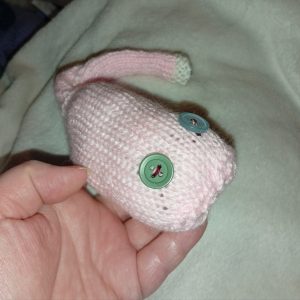Zander the Pale Pink with White Tail Tip Midi Meeser