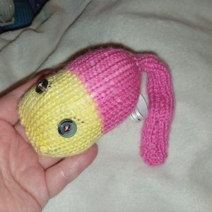 Scooter the Hot Pink and Yellow Midi Meeser