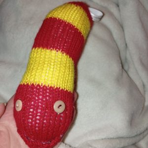 Chiko the Red and Yellow Banded Long Grub