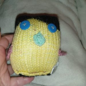 Niem the Black with Yellow Front and Mint Beak / Pink Wings Mini Penguin