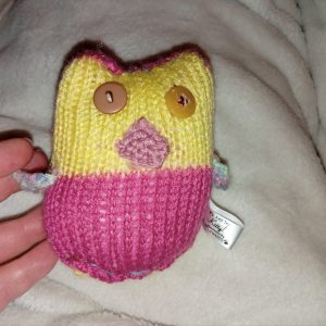 Christie the Hot Pink with Yellow and Pink Beak / Pastel Rainbow Wings Mini Owl