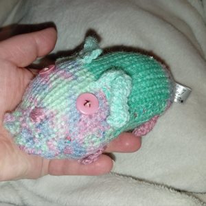 Chrissy the Mint Green with Pastel Rainbow Hamster