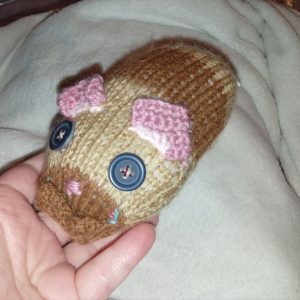 Prince the Chunky Brown and Caramel Banded Hamster