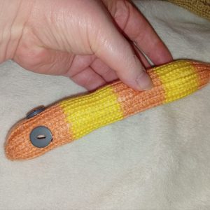 Terence the Orange and Yellow Banded Slim Noodle Short Snake