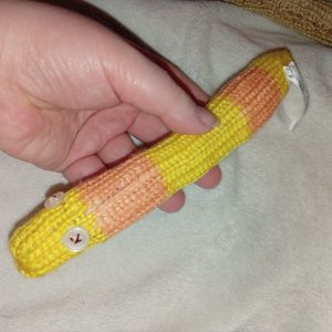 Tony the Yellow and Orange Banded Slim Noodle Short Snake